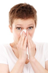 Sinuses